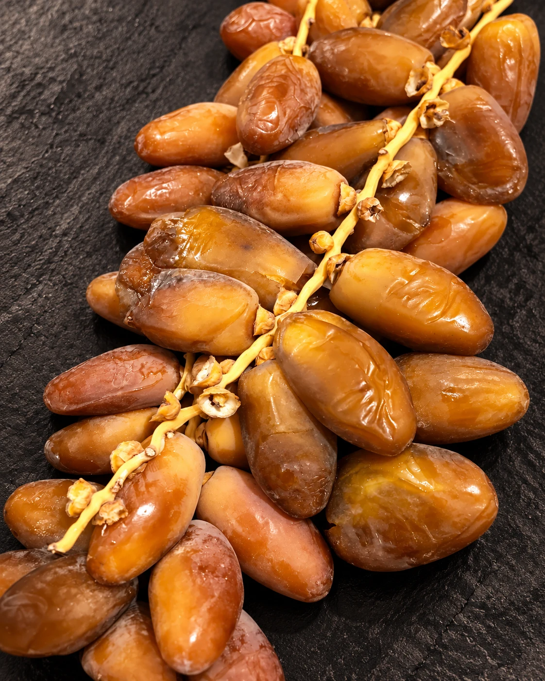Golden brown dates on the branch